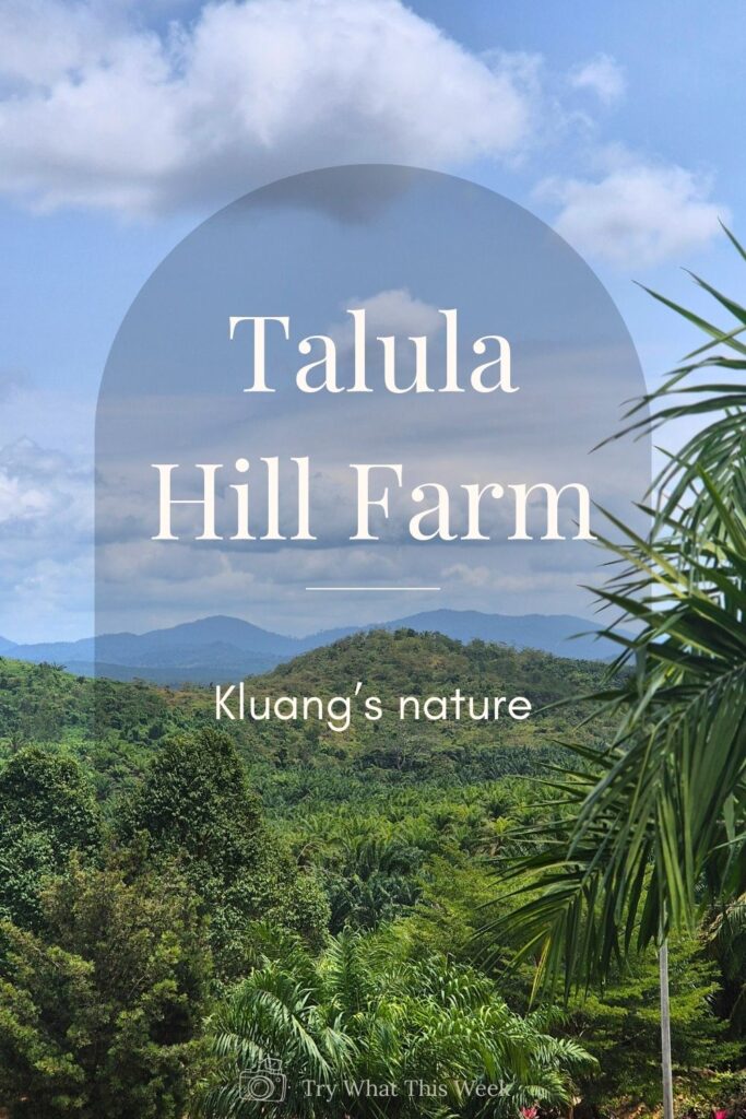 Kluang nature spot - Talula Hill Farm